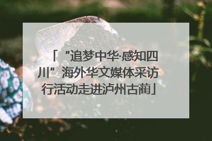 “追梦中华·感知四川”海外华文媒体采访行活动走进泸州古蔺