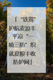 “铁翼”护航麦浪丰 平凉“一喷三防”织就夏粮丰收防护网