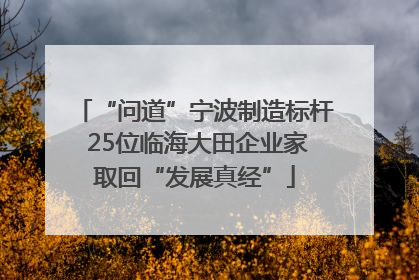 “问道”宁波制造标杆 25位临海大田企业家取回“发展真经”