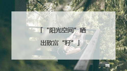 “阳光空间”晒出致富“籽”