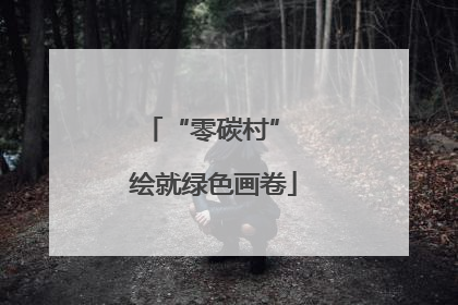 “零碳村” 绘就绿色画卷