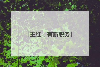 王红，有新职务