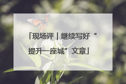 现场评｜继续写好“提升一座城”文章