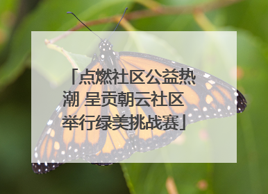点燃社区公益热潮 呈贡朝云社区举行绿美挑战赛