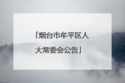 烟台市牟平区人大常委会公告