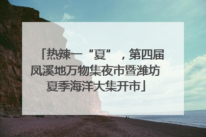 热辣一“夏”，第四届凤溪地万物集夜市暨潍坊夏季海洋大集开市