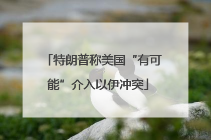 特朗普称美国“有可能”介入以伊冲突