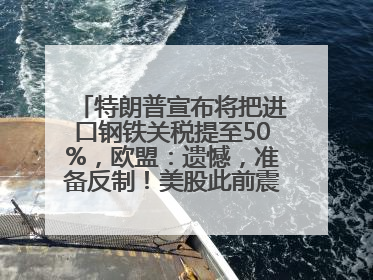 特朗普宣布将把进口钢铁关税提至50%，欧盟：遗憾，准备反制！美股此前震荡，机构：美元正进入熊市
