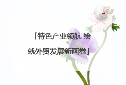 特色产业领航 绘就外贸发展新画卷