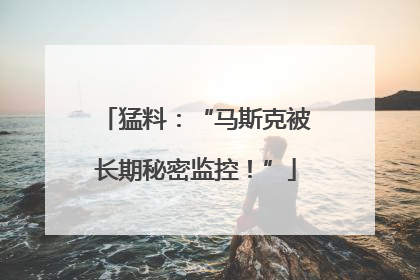 猛料：“马斯克被长期秘密监控！”
