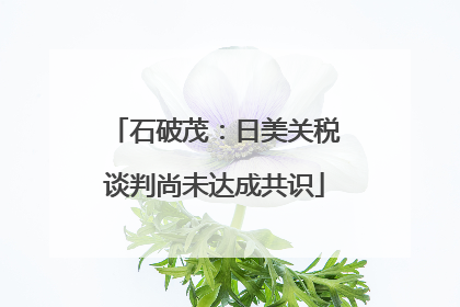 石破茂：日美关税谈判尚未达成共识
