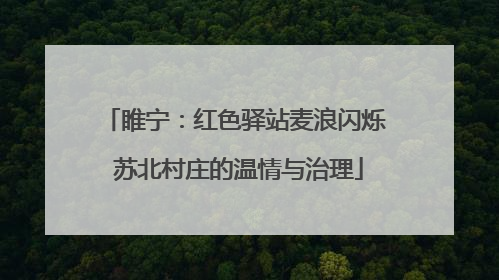 睢宁：红色驿站麦浪闪烁 苏北村庄的温情与治理