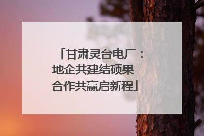 甘肃灵台电厂：地企共建结硕果 合作共赢启新程