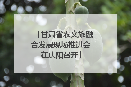 甘肃省农文旅融合发展现场推进会在庆阳召开