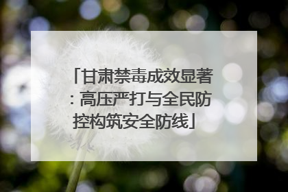 甘肃禁毒成效显著：高压严打与全民防控构筑安全防线