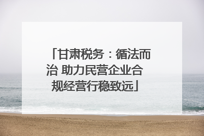 甘肃税务：循法而治 助力民营企业合规经营行稳致远