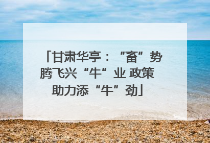 甘肃华亭：“畜”势腾飞兴“牛”业 政策助力添“牛”劲