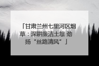 甘肃兰州七里河区烟草：深耕廉洁土壤 劲扬“丝路清风”