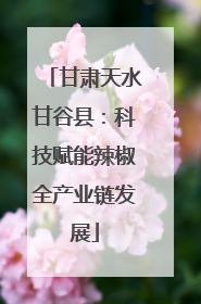 甘肃天水甘谷县：科技赋能辣椒全产业链发展