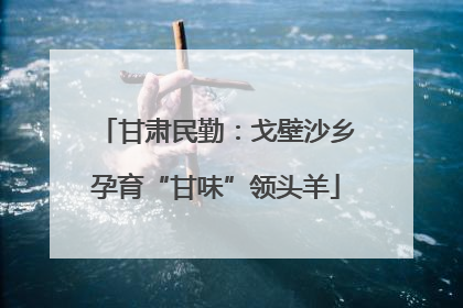 甘肃民勤：戈壁沙乡孕育“甘味”领头羊