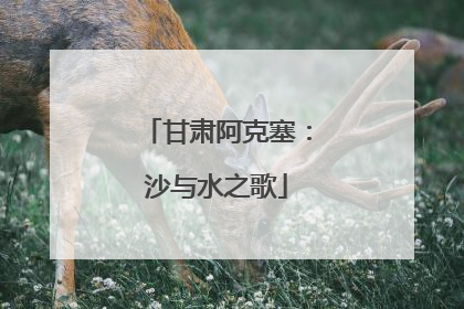 甘肃阿克塞：沙与水之歌
