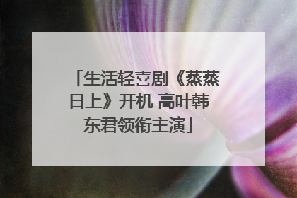 生活轻喜剧《蒸蒸日上》开机 高叶韩东君领衔主演