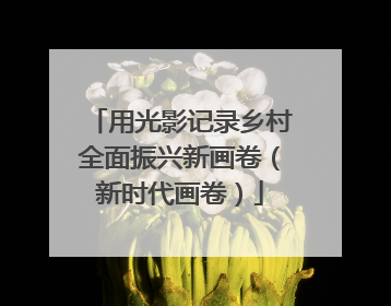 用光影记录乡村全面振兴新画卷（新时代画卷）