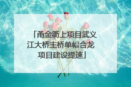 甬金衢上项目武义江大桥主桥单幅合龙 项目建设提速