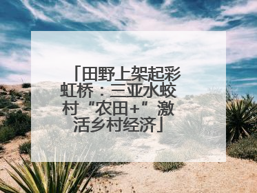 田野上架起彩虹桥：三亚水蛟村“农田+”激活乡村经济