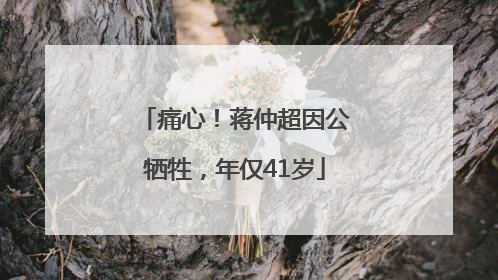 痛心！蒋仲超因公牺牲，年仅41岁
