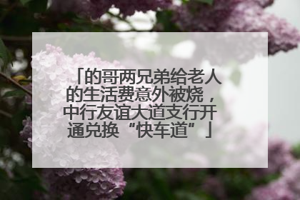 的哥两兄弟给老人的生活费意外被烧，中行友谊大道支行开通兑换“快车道”