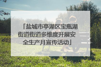 盐城市亭湖区宝瓶湖街道街道多维度开展安全生产月宣传活动