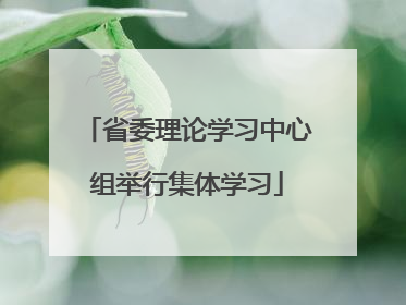 省委理论学习中心组举行集体学习
