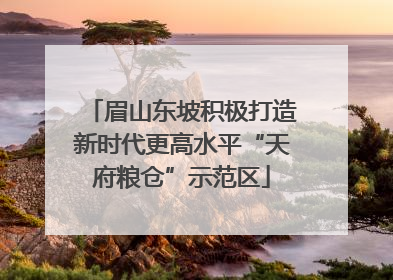 眉山东坡积极打造新时代更高水平“天府粮仓”示范区