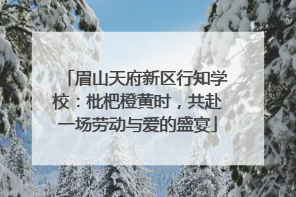 眉山天府新区行知学校：枇杷橙黄时，共赴一场劳动与爱的盛宴