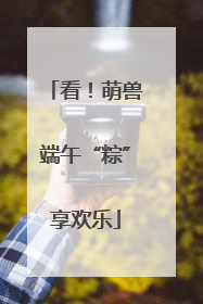 看！萌兽端午“粽”享欢乐