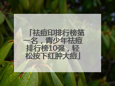 祛痘印排行榜第一名，青少年祛痘排行榜10强，轻松按下红肿大痘