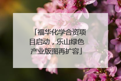 福华化学合资项目启动，乐山绿色产业版图再扩容