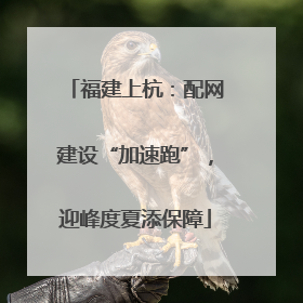 福建上杭：配网建设“加速跑”，迎峰度夏添保障