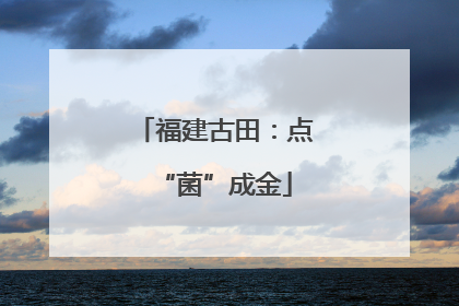福建古田：点“菌”成金