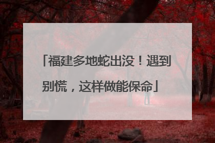 福建多地蛇出没！遇到别慌，这样做能保命