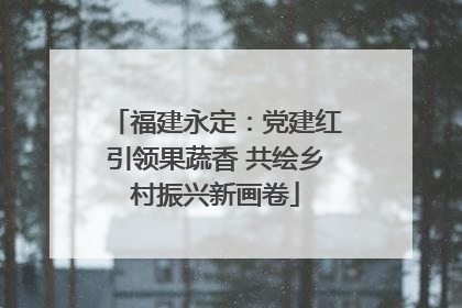 福建永定：党建红引领果蔬香 共绘乡村振兴新画卷