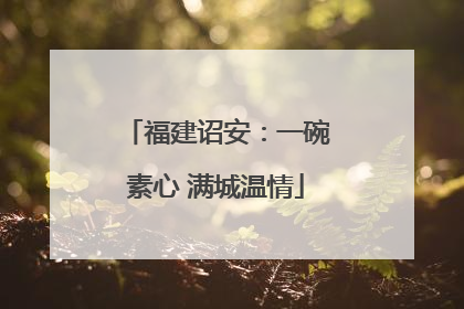 福建诏安：一碗素心 满城温情