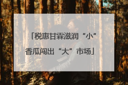 税惠甘霖滋润“小”香瓜闯出“大”市场