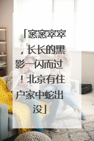 窸窸窣窣，长长的黑影一闪而过！北京有住户家中蛇出没
