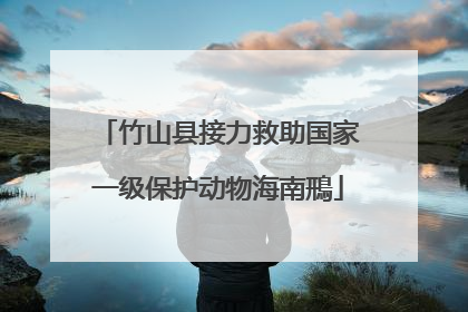 竹山县接力救助国家一级保护动物海南鳽