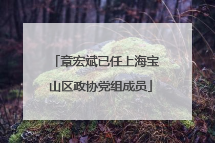 章宏斌已任上海宝山区政协党组成员