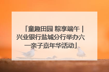 童趣田园 粽享端午｜兴业银行盐城分行举办六一亲子嘉年华活动