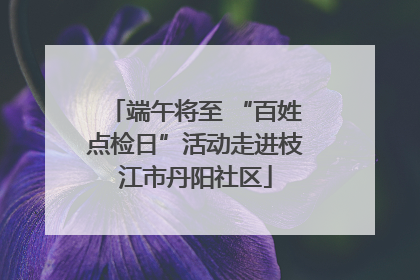 端午将至 “百姓点检日”活动走进枝江市丹阳社区