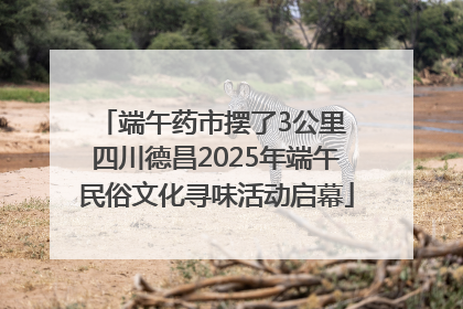 端午药市摆了3公里 四川德昌2025年端午民俗文化寻味活动启幕